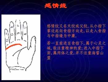 简易手相算命图解