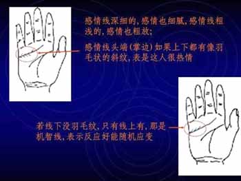 简易手相算命图解
