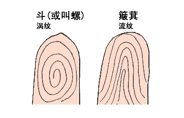 手指上的斗会决定你的富贵