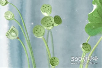 属虎的属相文化是什么 生肖虎的属相文化介绍 属虎的属相文化是什么 生肖虎的属相文化介绍