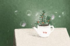 生肖马养什么植物能提升财运？