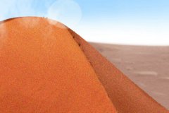 才思敏捷,属鼠人的解谜能力如何