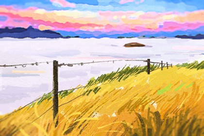 属鸡