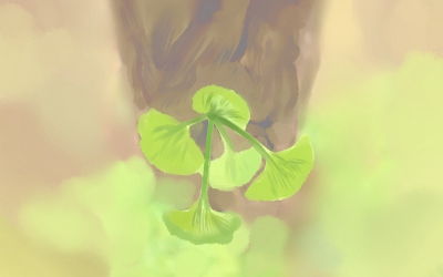 属牛