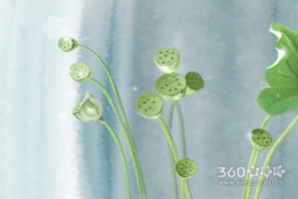属虎