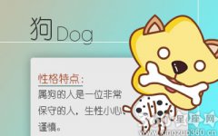 碰到很挑剔的人 属狗人会如何拿下他们