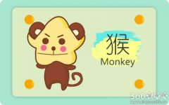 如何看出属猴人对你是否有意思