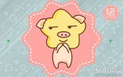 属猪人有多大机会碰到艳遇