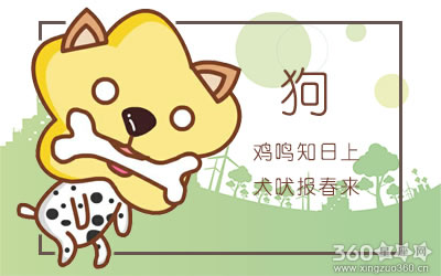 属狗