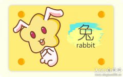 属兔人的事业是长期孤独换来的吗