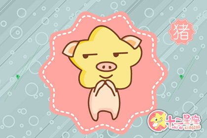 属猪的2019年运势如何 各方面情况怎么样