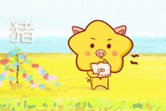 九五年属猪的是什么命 属猪人财运如何