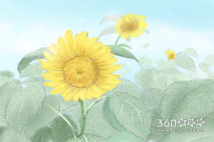 属虎的人最喜欢送爱人什么花 属虎的人最喜欢送爱人什么花