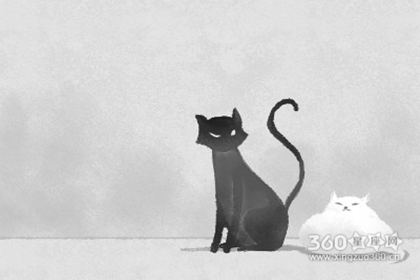 属鸡人喜欢朝暮相见的爱情吗? 属鸡人喜欢朝暮相见的爱情吗?