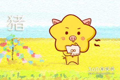 属猪八月出生的命运如何 运气怎么样