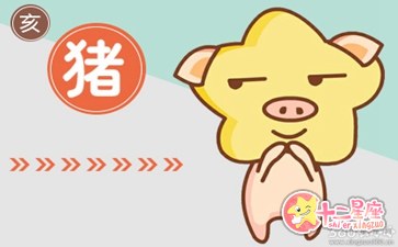 四月出生的属猪人命运 命好不好