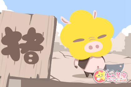 属猪的人是不是在事业上更容易成功呢 属猪的人是不是在事业上更容易成功呢