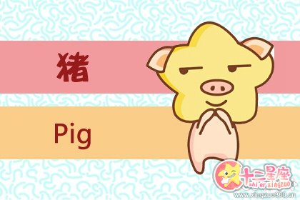 1983年属猪运势 属猪的运势分析