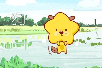 属狗的人下半年会迎来什么好运