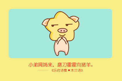 属猪的是哪年出生的 运势怎么样