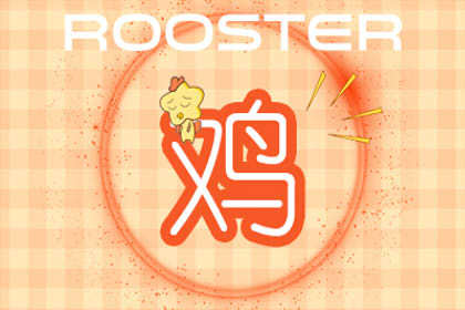 属鸡人的后半生尤其是38岁的 运势怎么样 属鸡人的后半生尤其是38岁的 运势怎么样