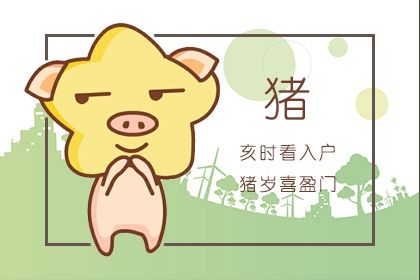 2020年属猪的人财运怎么样 能发财吗