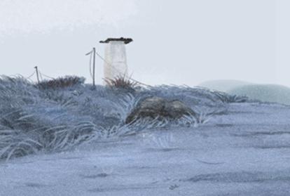 属牛本命年前一年很倒霉 2020年运势 属牛本命年前一年很倒霉 2020年运势