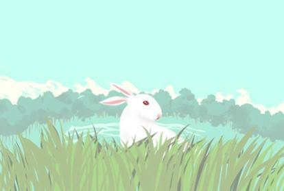 属牛本命年前一年很倒霉 2020年运势 属牛本命年前一年很倒霉 2020年运势