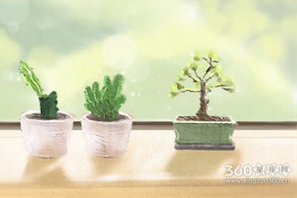 生肖虎