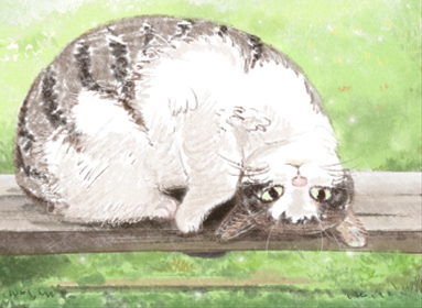 生肖马