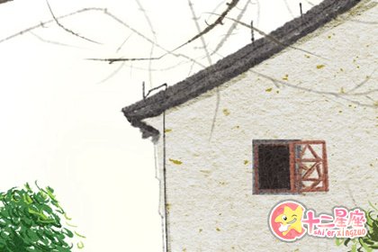 有着搞基心的生肖女,天天供男友屁股