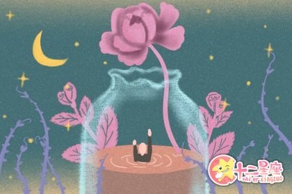 喜欢自拍,却不喜欢把照片分享出去的生肖