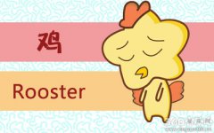 越爱越无法自控 会死缠烂打的生肖
