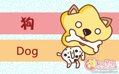 十二生肖 十二生肖