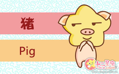 十二生肖 十二生肖