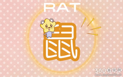 十二生肖 十二生肖