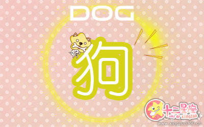 十二生肖 十二生肖