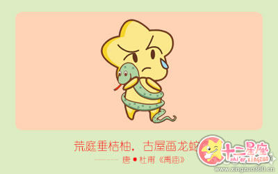 十二生肖 十二生肖