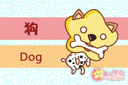 做事风格沉稳 失误率极低的四大生肖 做事风格沉稳 失误率极低的四大生肖