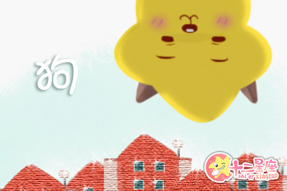 不休息 这些生肖周末选择提升自己 不休息 这些生肖周末选择提升自己