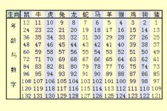 2019生肖排表图片 属相年龄对照表2019