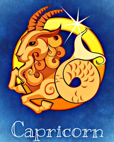 太阳魔羯:最保守的极权派