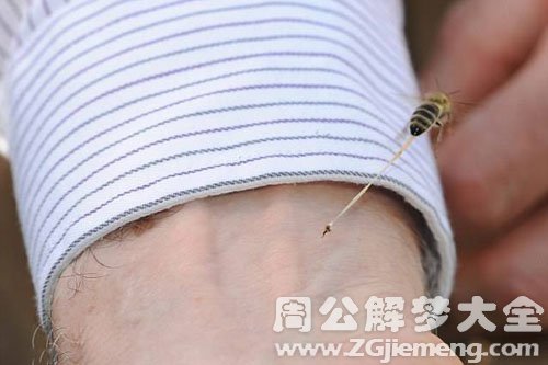 被蜜蜂蜇