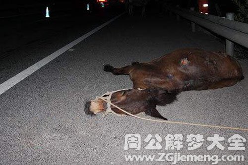 死马