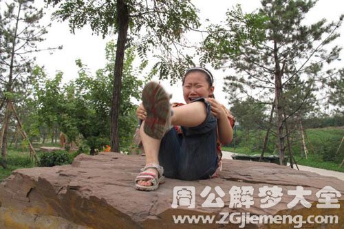 梦见昆虫爬到脚上
