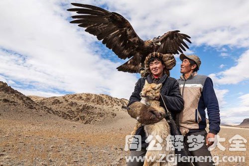 梦见老鹰落在我肩上