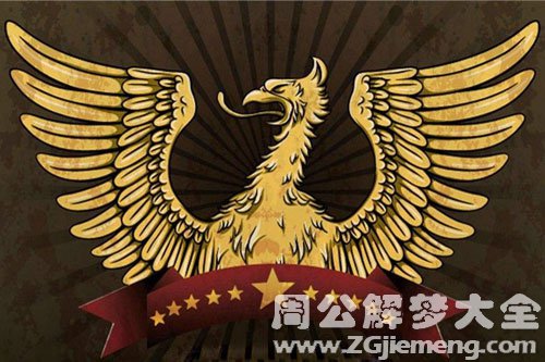 梦见老鹰和凤凰