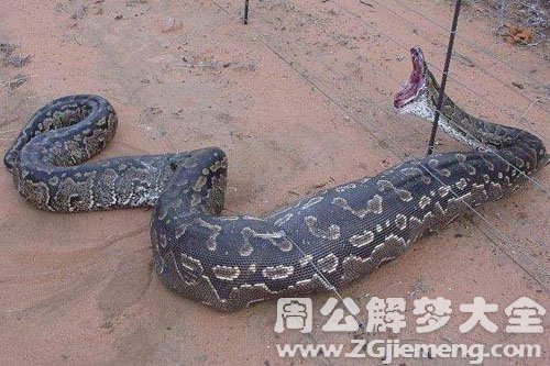 杀死大蛇