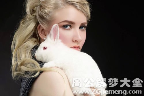 抓兔子