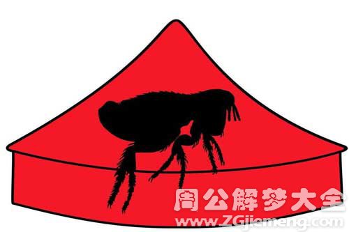 梦见跳蚤并抓住了
